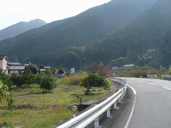 迫力満点の480号線