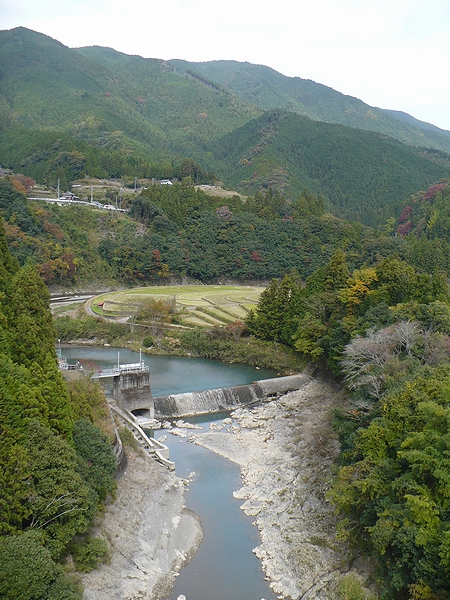 あらぎ島
