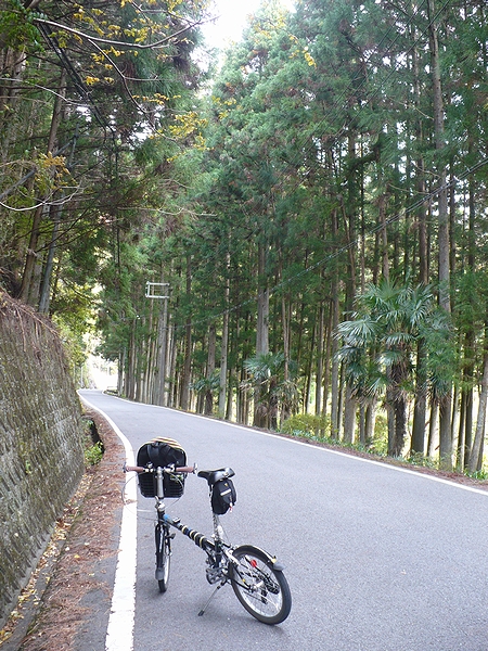 林道