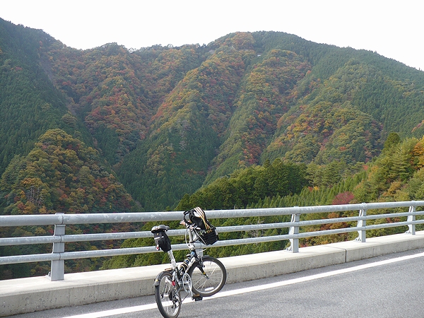 花園の紅葉
