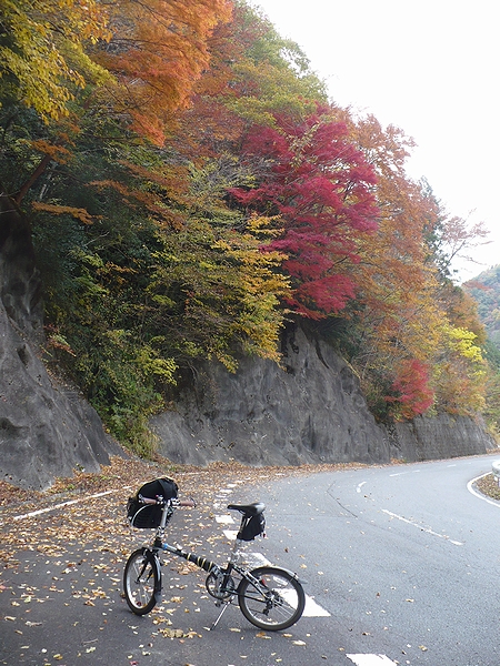 高野山付近の紅葉