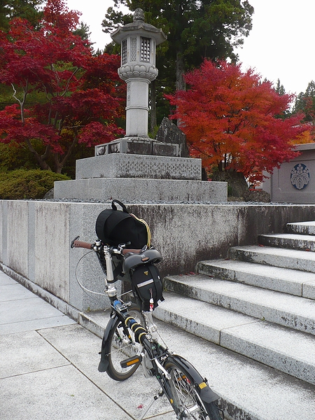高野山の紅葉