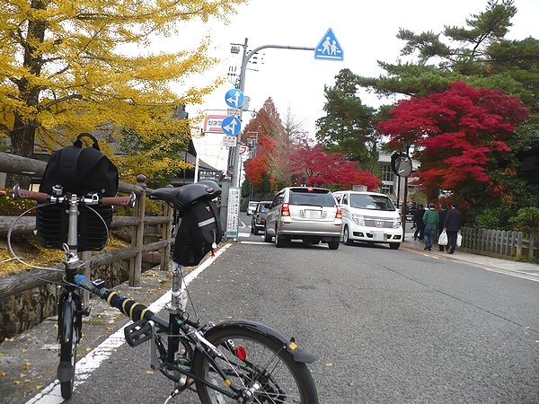 高野山の紅葉