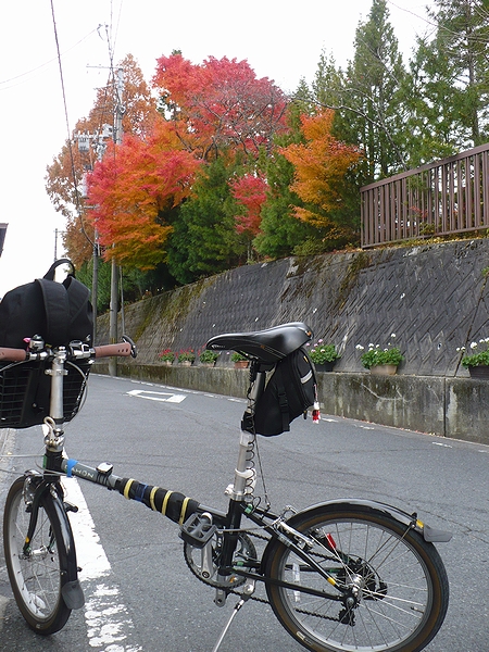 高野山の紅葉