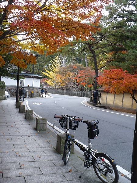 高野山の紅葉