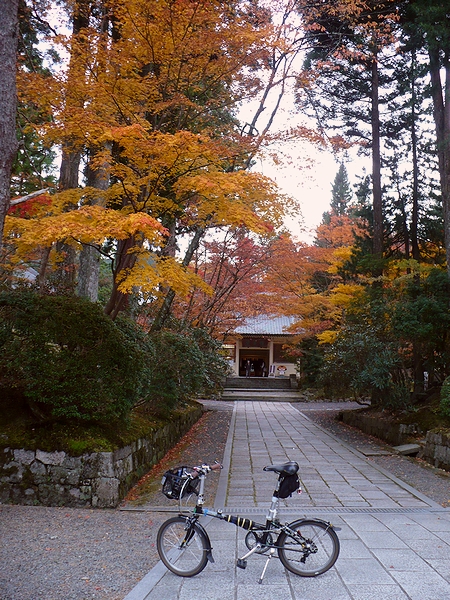高野山の紅葉