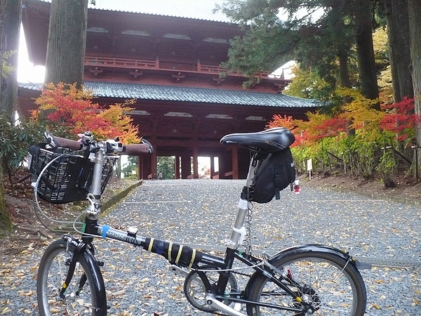 大門の裏の紅葉