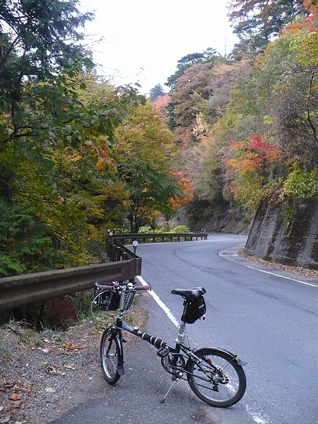 高野山の紅葉
