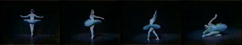 BlackSwan19.jpg