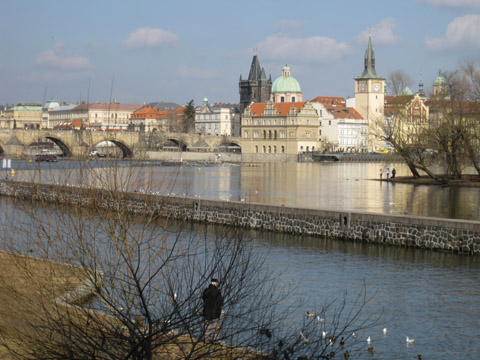 YWT05.jpg