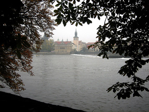 YWT06.jpg