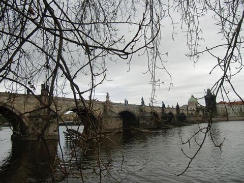 YWT07.jpg
