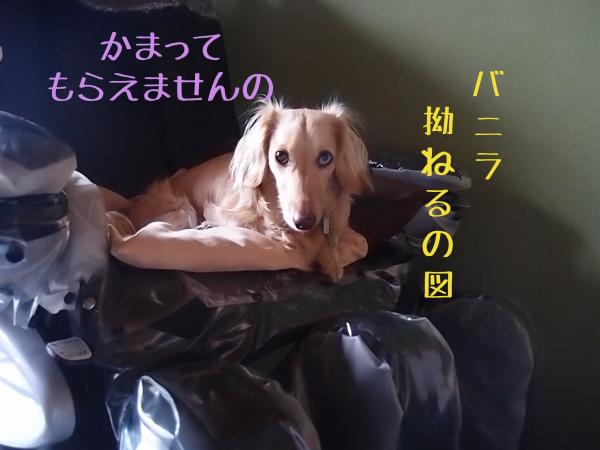 ミシン4_convert_20120626093217