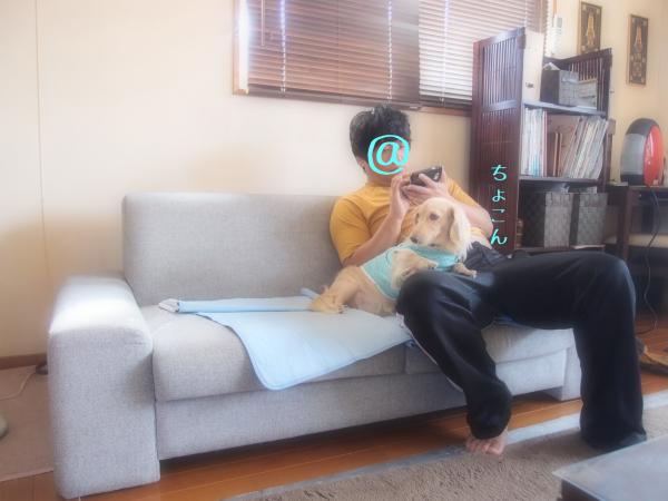 膝3_convert_20120912091109