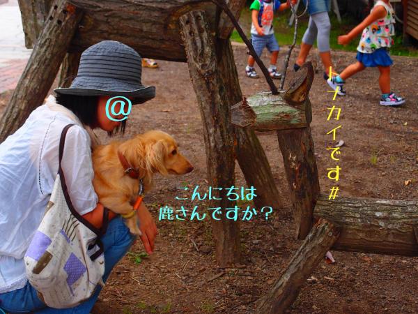 ロック2_convert_20120919142900
