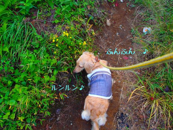 おてん1_convert_20120929202749
