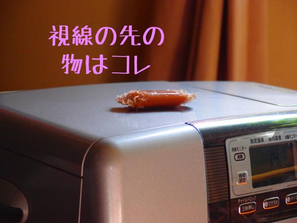 ナイラ2_convert_20121128174135