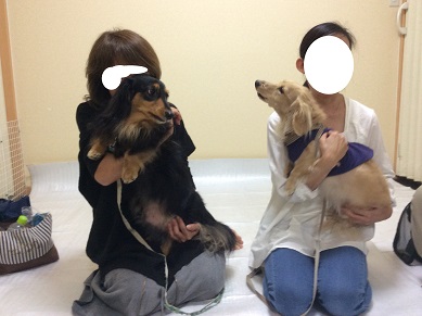 教室 4・1