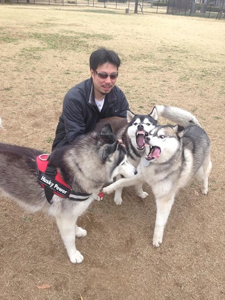 ハスキー犬オフ会 11・2