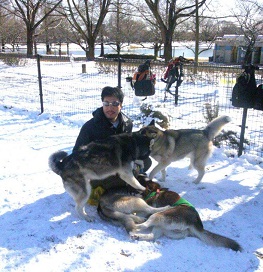 ハスキー犬オフ会1・3