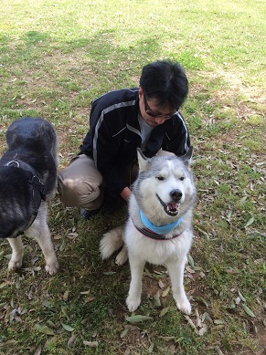 ハスキー犬オフ会 12・1