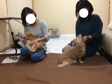 教室 7・5