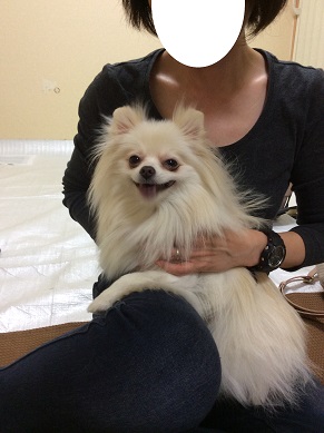 芽生ちゃん 1・1