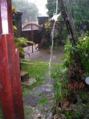 ame13-01-01.jpg