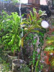 ame13-01-02.jpg
