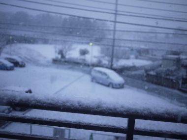 P1100284.jpg