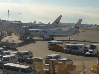 P1150632.jpg