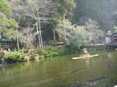 P1150719.jpg