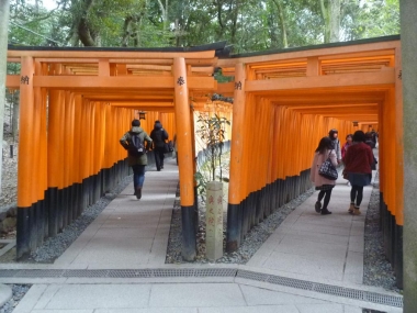 P1150916.jpg