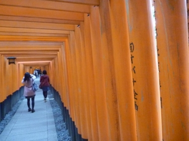 P1150917.jpg