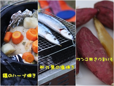 2012102018