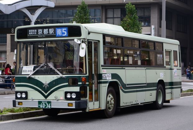 8p11.jpg