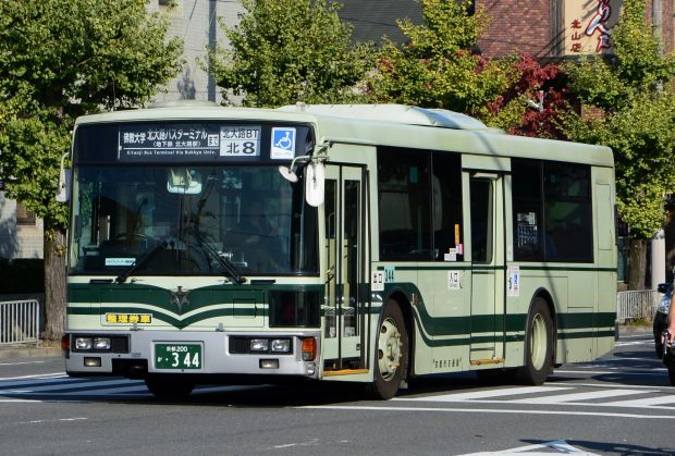 8p16.jpg