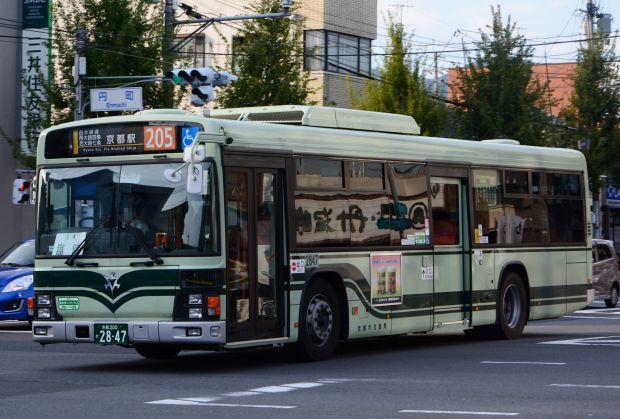8p19.jpg