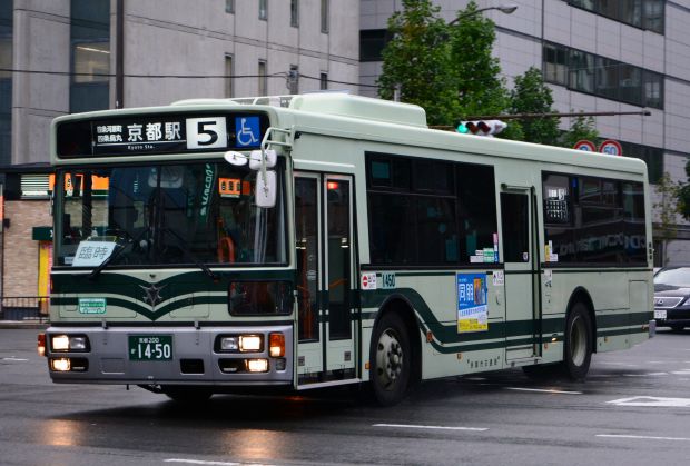 8p6.jpg