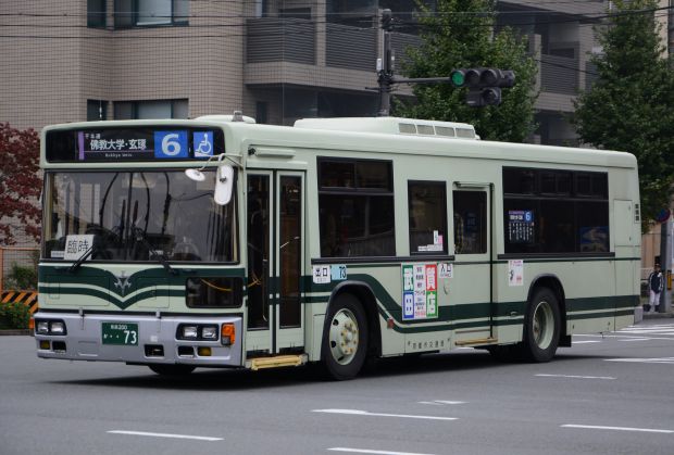 8q11.jpg