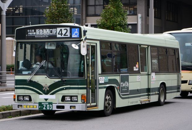 8q29.jpg