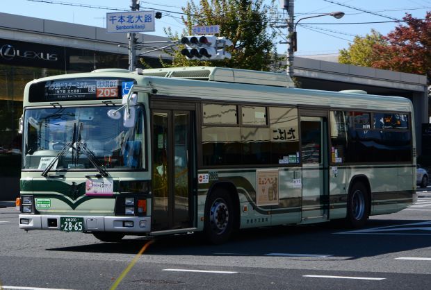 8q33.jpg