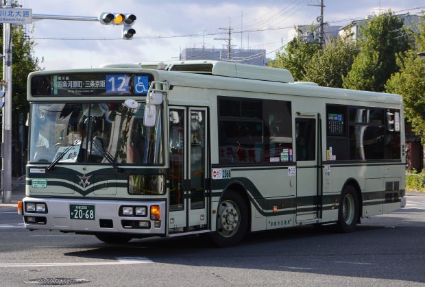 8q41.jpg