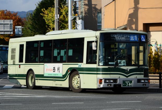 8r17.jpg