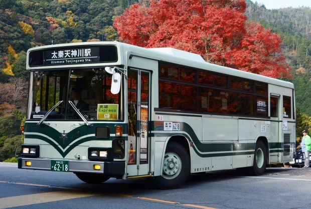 8s33.jpg