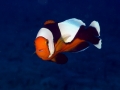 P1310023_edited.jpg