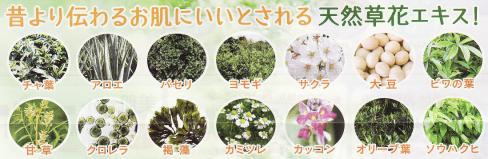 EGF・無添加オールインワンゲルに 天然草花エキス配合!