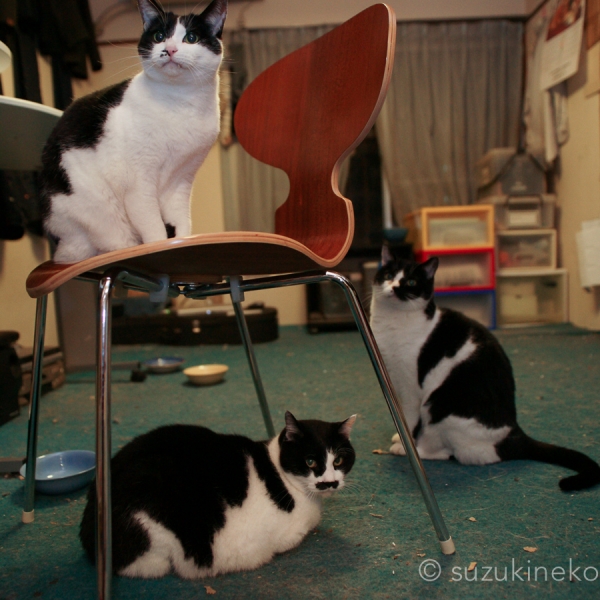 Lr4-20111206-DSC01775-A9001-01.jpg
