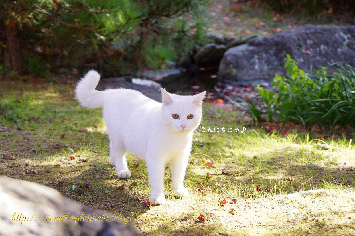 03_20141124.jpg