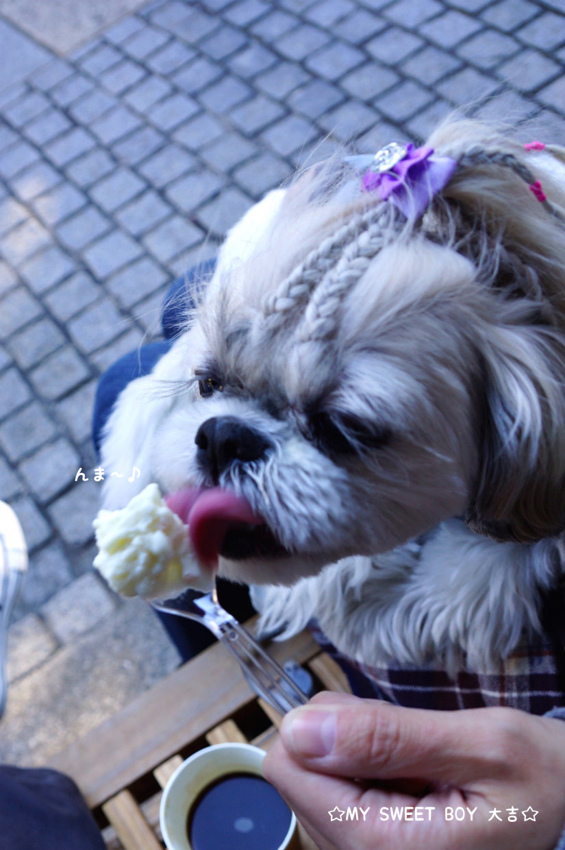 10_20141107.jpg